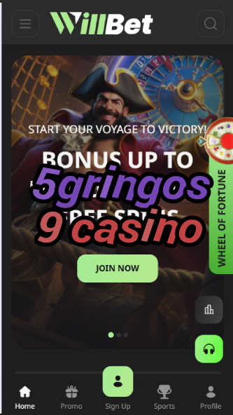 5Gringos 9 Casino - Latin American Casino-casinoorder.vip
